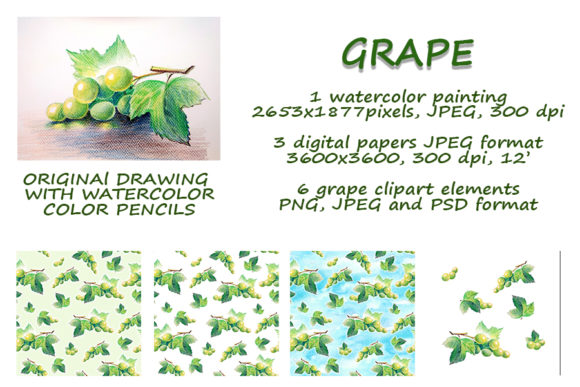 Bunch of Grapes, Watercolor Pencils Draw