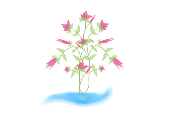 Pink Flower in Watercolor Illustrations