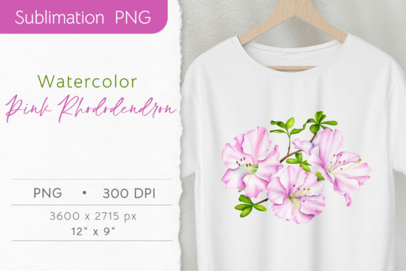 Pink Flower Watercolor Clipart and Illustrations
