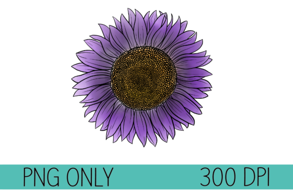 Purple Watercolor Sunflower Illustrations