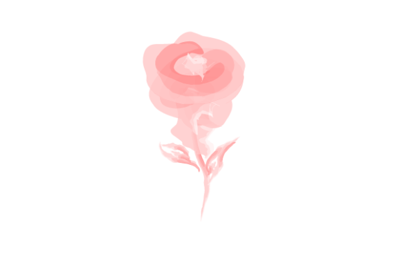 Red Rose Flower Abstract Watercolor Illustrations
