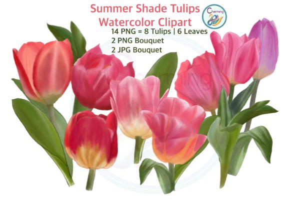 Summer Shape Tulips Watercolor Clipart and Illustrations