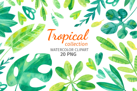 Tropical Jungle Leaf, Watercolor Clipart