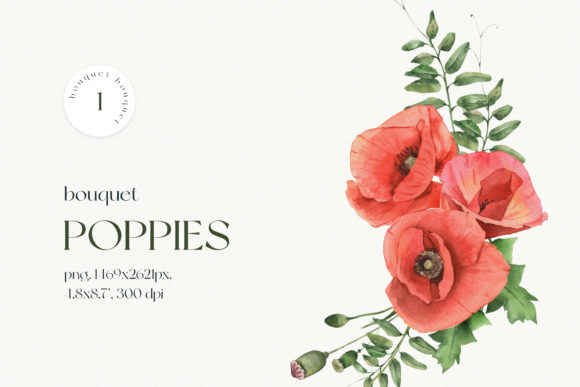 Watercolor Bouquet of Poppies Illustrations