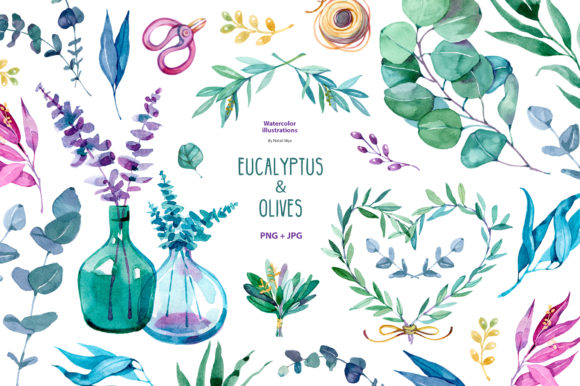 Watercolor Eucalyptus and Olive Illustrations