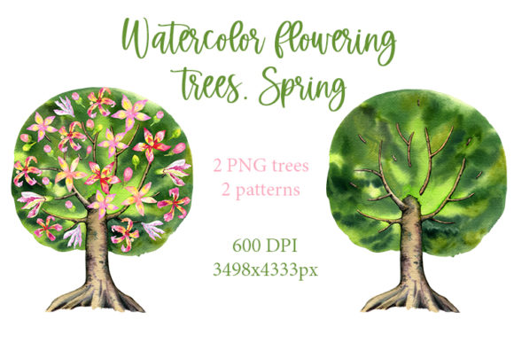 Watercolor Flowering Trees of Ceiba Illustrations