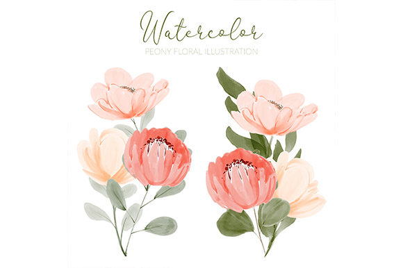 Watercolor Peony Set: Premium Illustrations