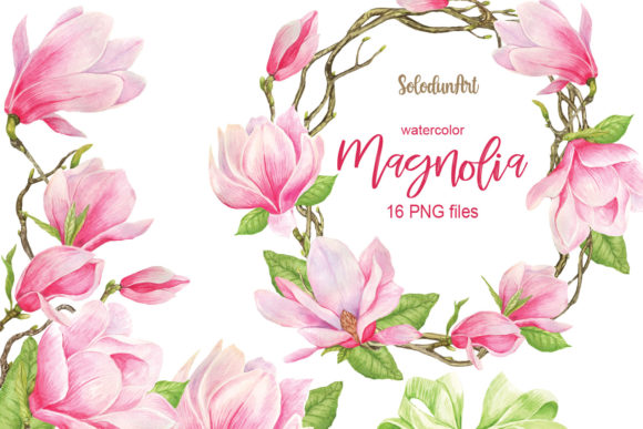 Watercolor Pink Magnolia Clipart and Illustrations