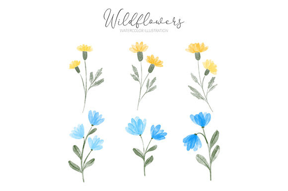 Watercolor Wildflower Set Illustration